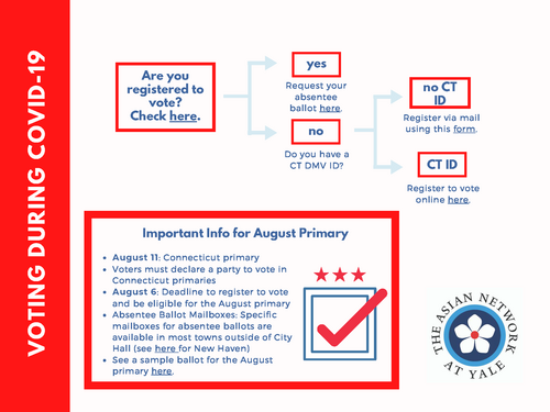 ANY How To Vote Infographic